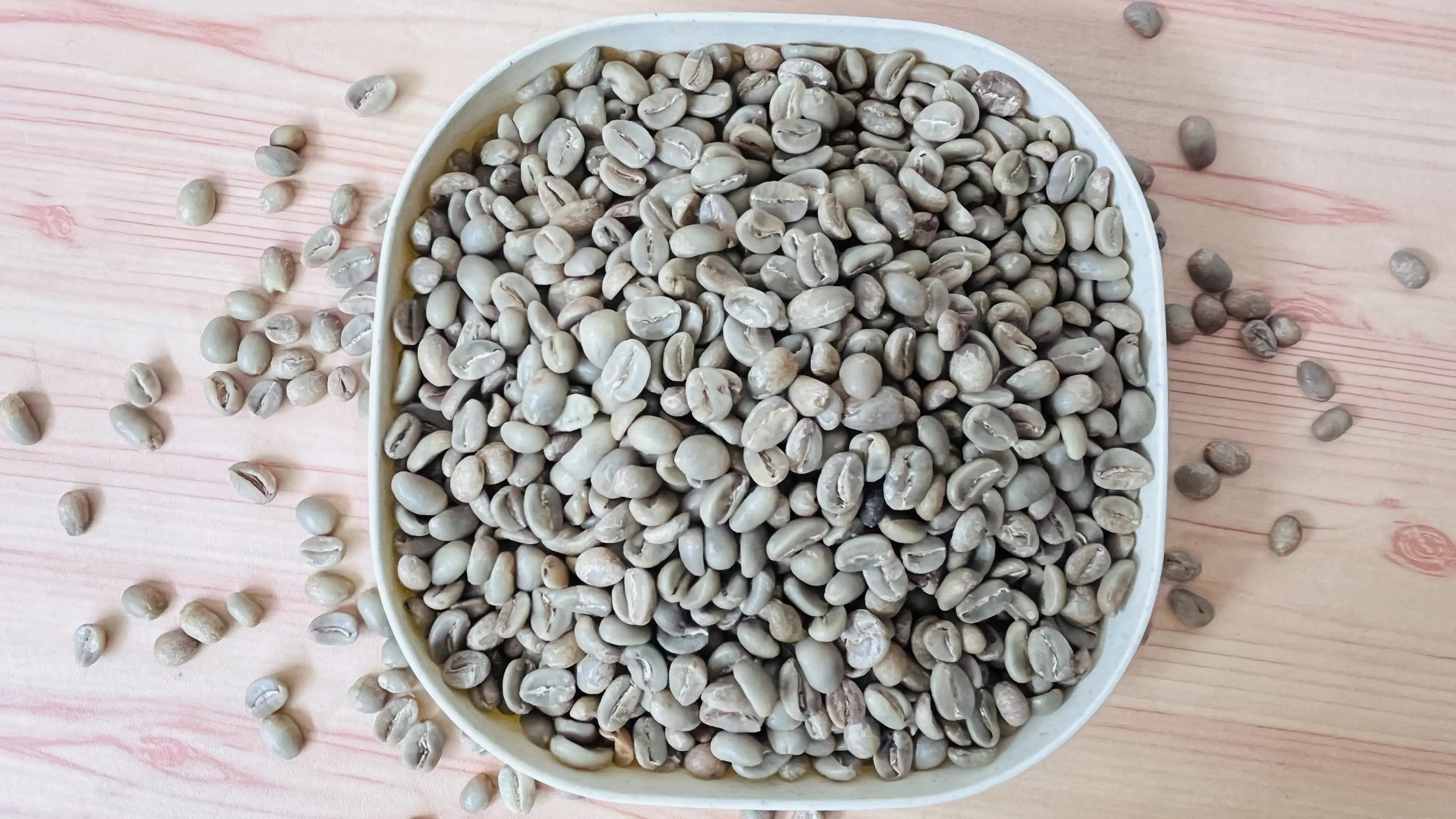 Arabica Coffee Bean
